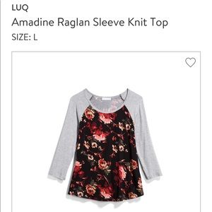 Amadine Raglan Sleeve Knit Top - Stitch Fix